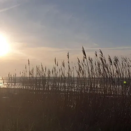 Heimathafen Am Ringwall Daire